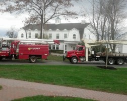 Morris County Tree Experts